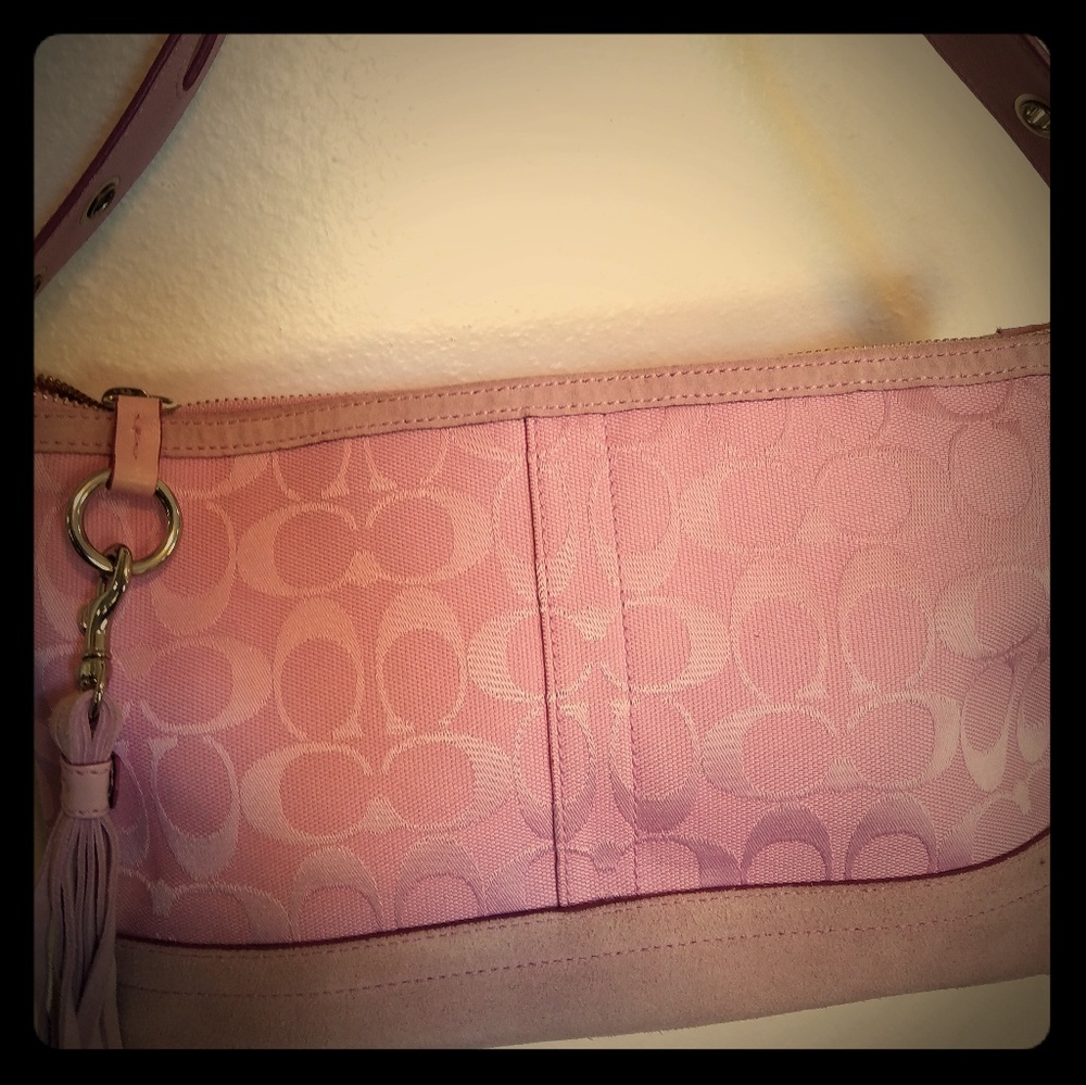Coach EW suede handbag